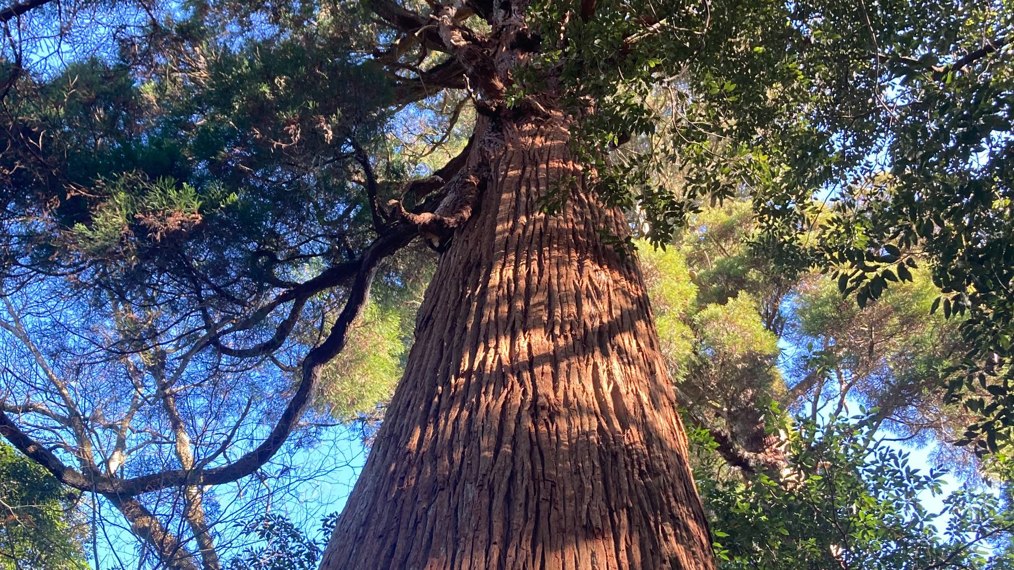 市房トレッキング