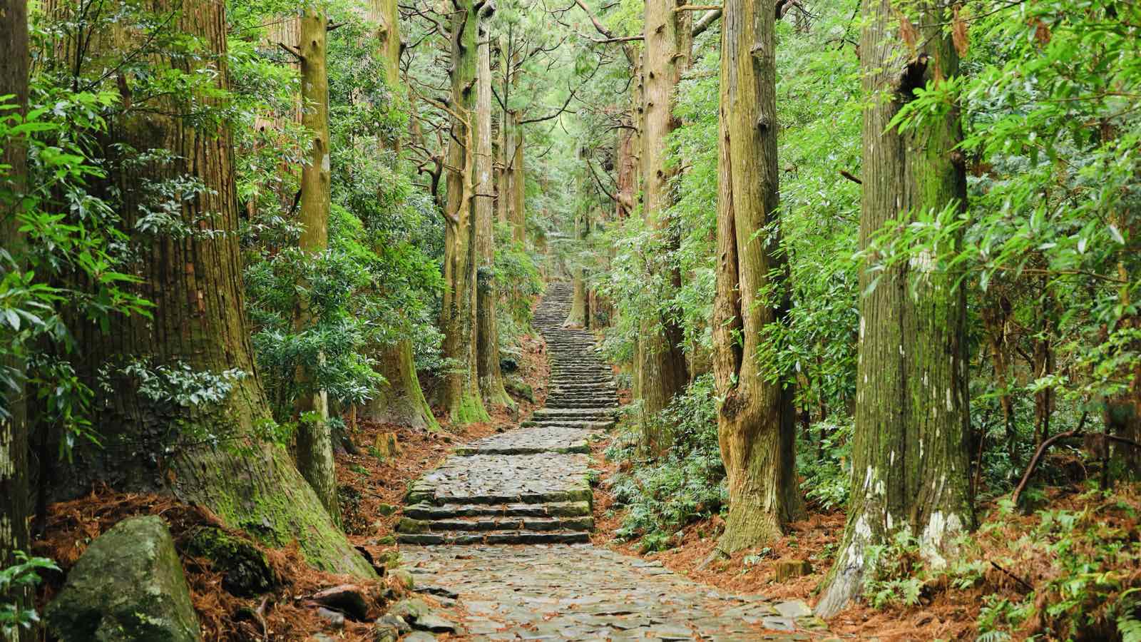 【大門坂】車で約15分