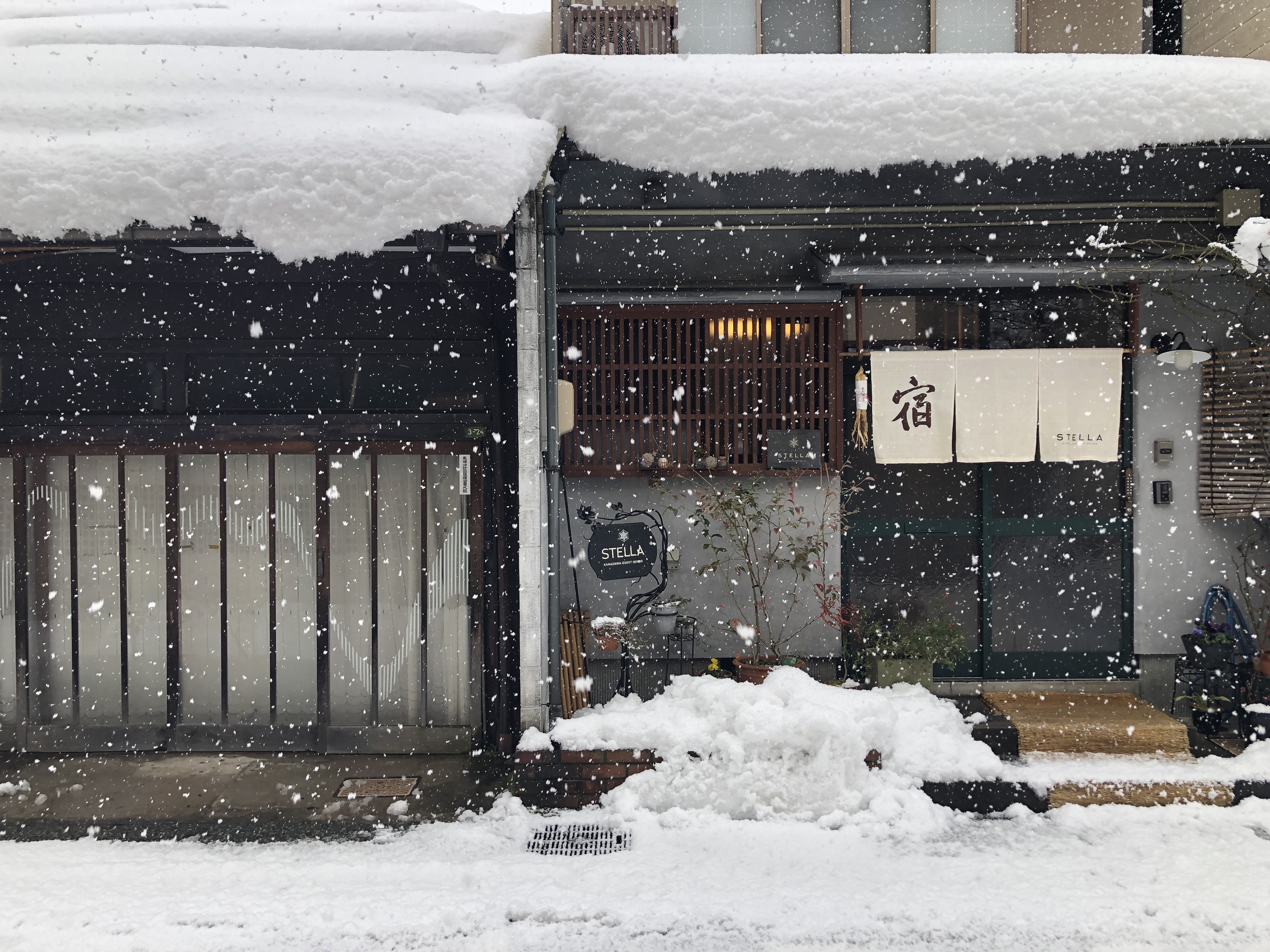 冬