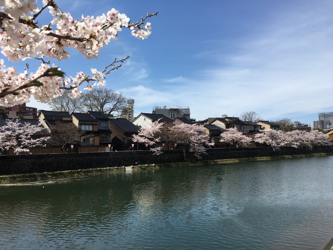 浅野川