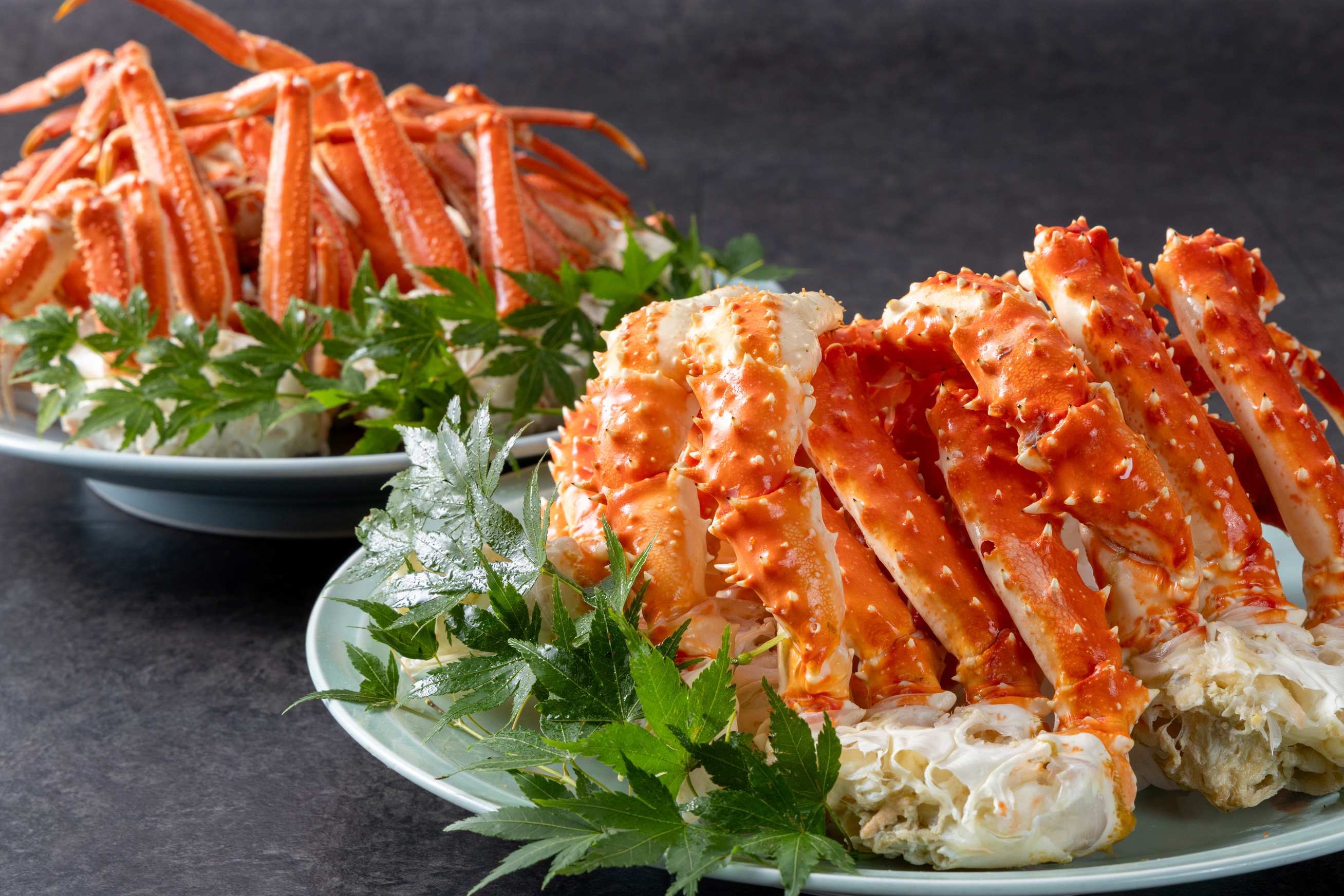 【2食付】年末年始に泊まる＜12月29日-1月2日限定＞ホテル ザ・ネスタ＆スパ ブッフェプラン