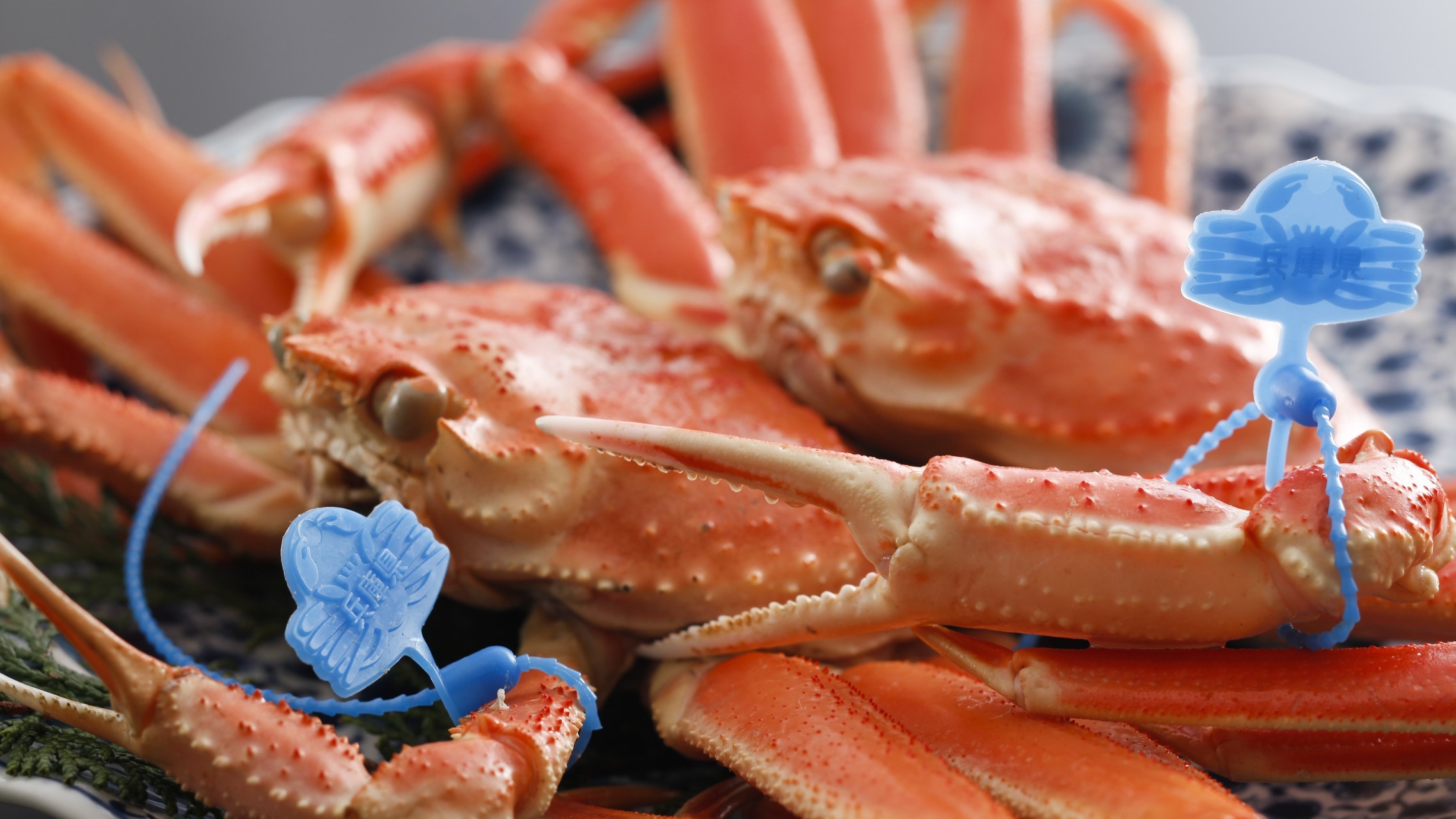 秋特旅★お子様もお一人様歓迎☆日にち限定☆鍋なし創作蟹会席＆和牛ステーキ★個室安心★貸切風呂無料