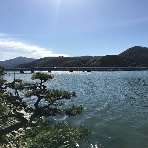 客室からの景色は絶景です