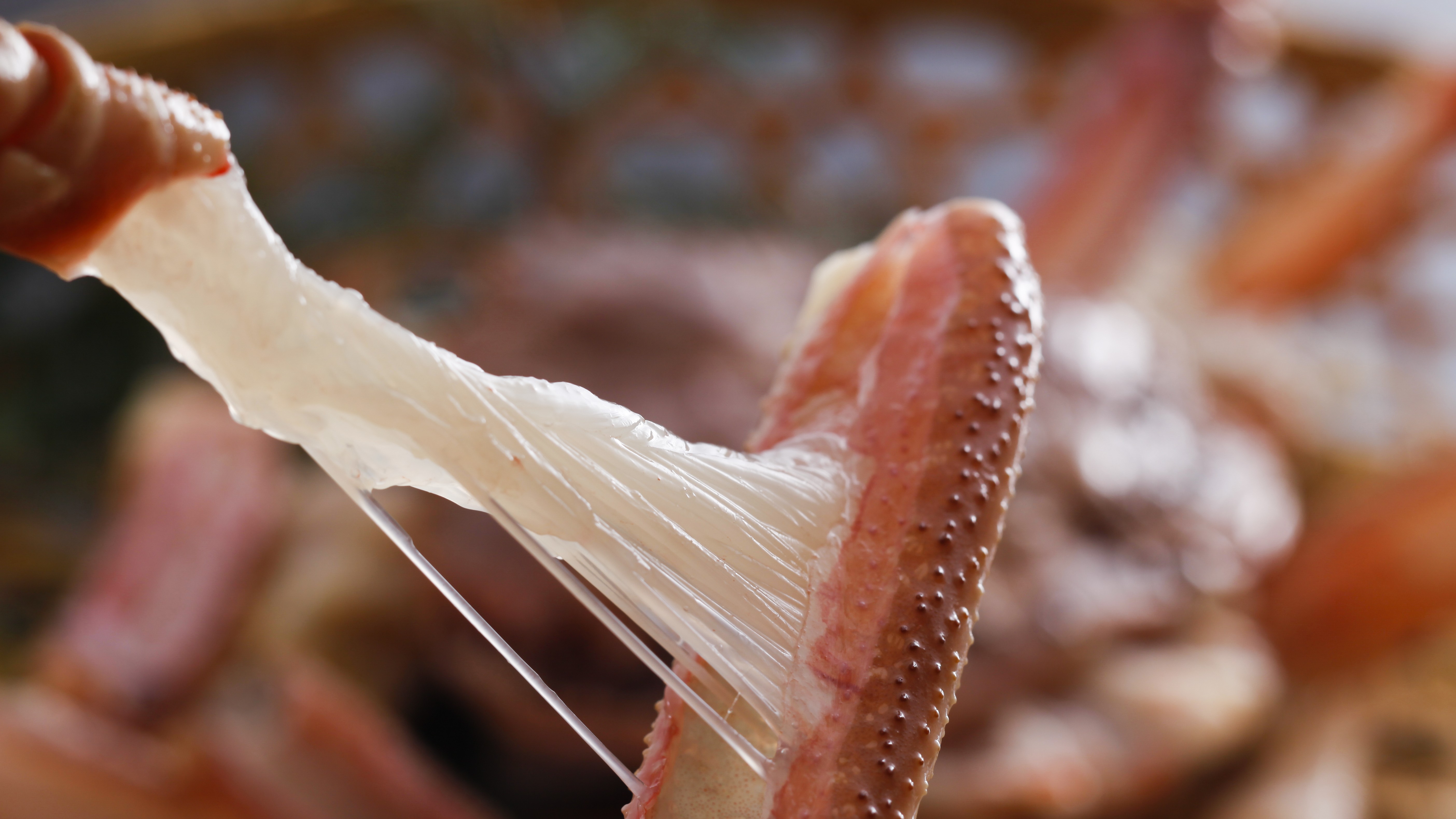 ぷりぷり活松葉ガニフルコース