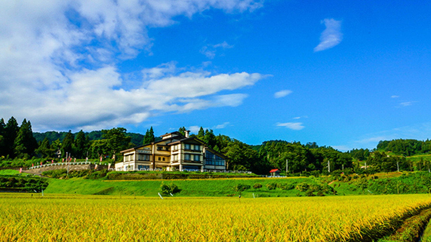 写真1
