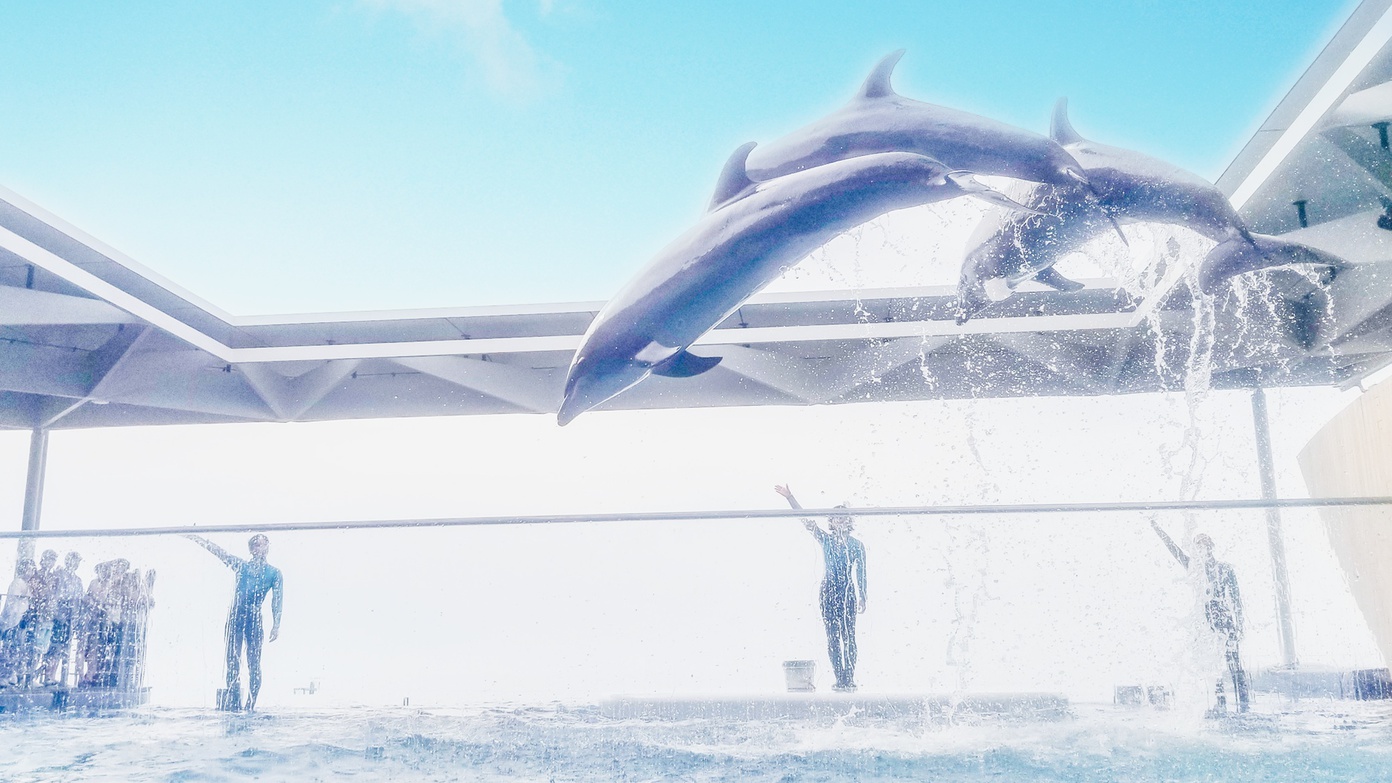 写真7