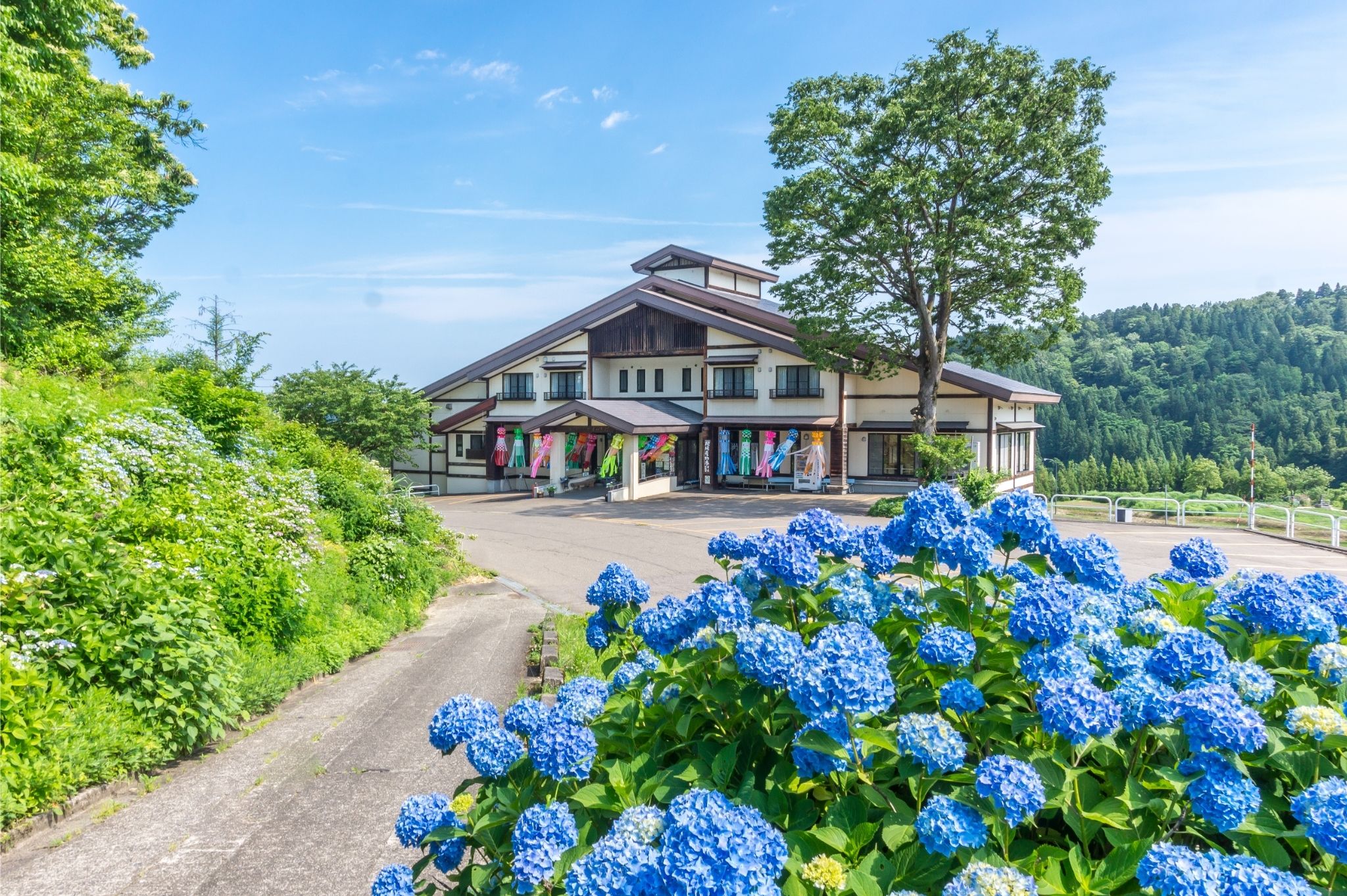 アジサイ七夕まつりinやすらぎ荘　遠景