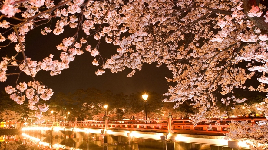 日本三大桜　高田公園