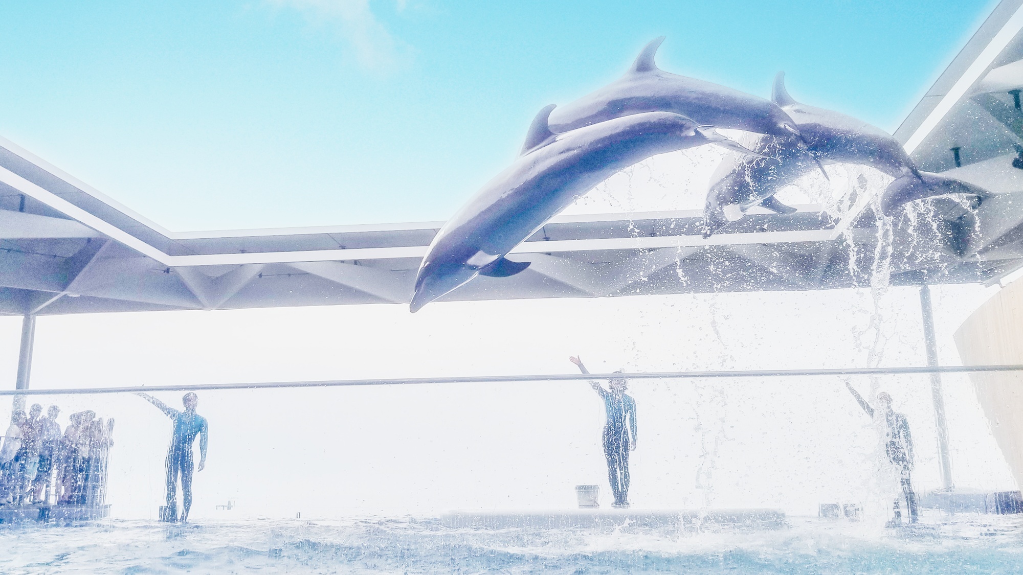 【周辺】上越市水族博物館うみがたり