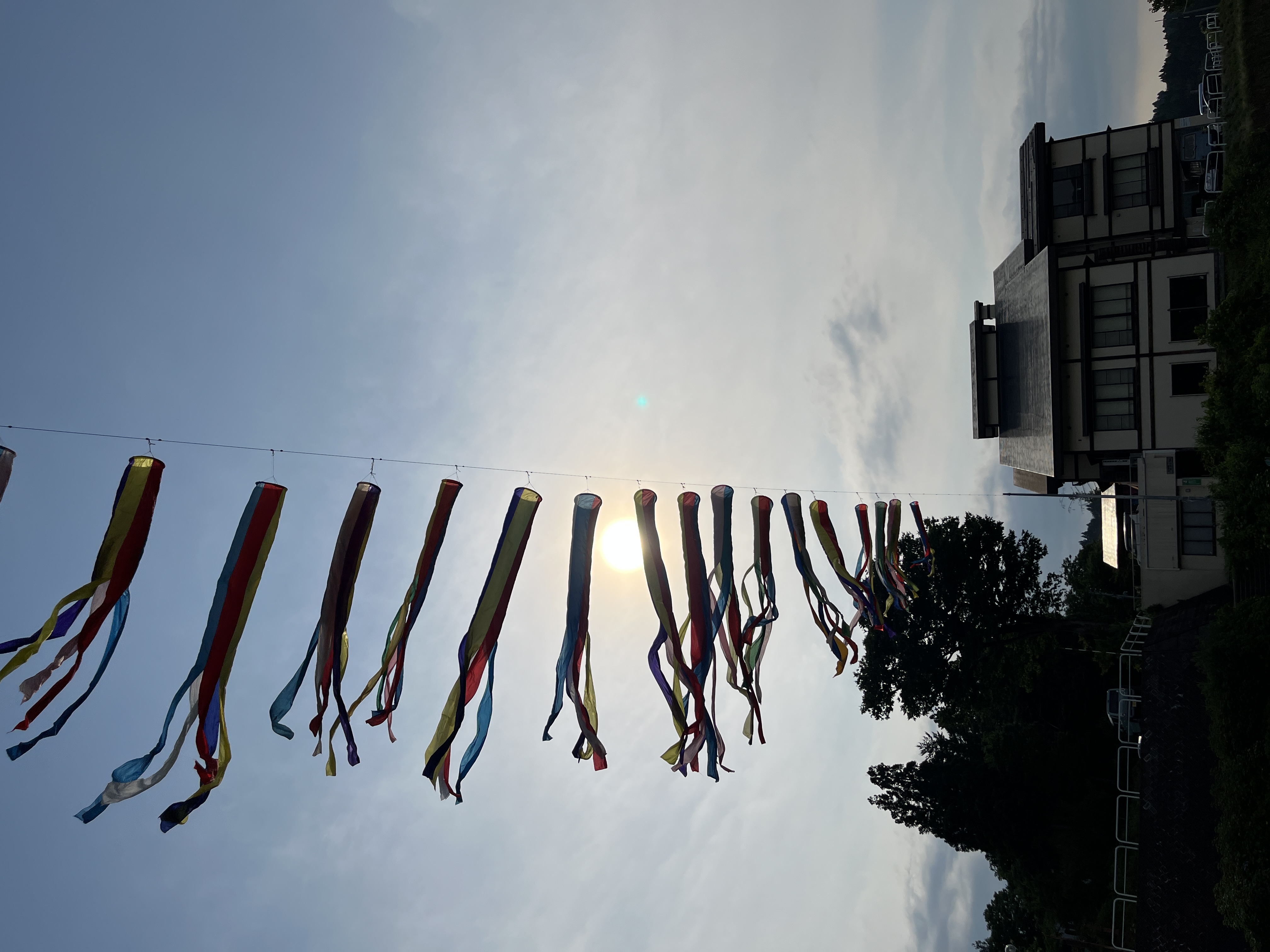 アジサイ七夕まつりinやすらぎ荘