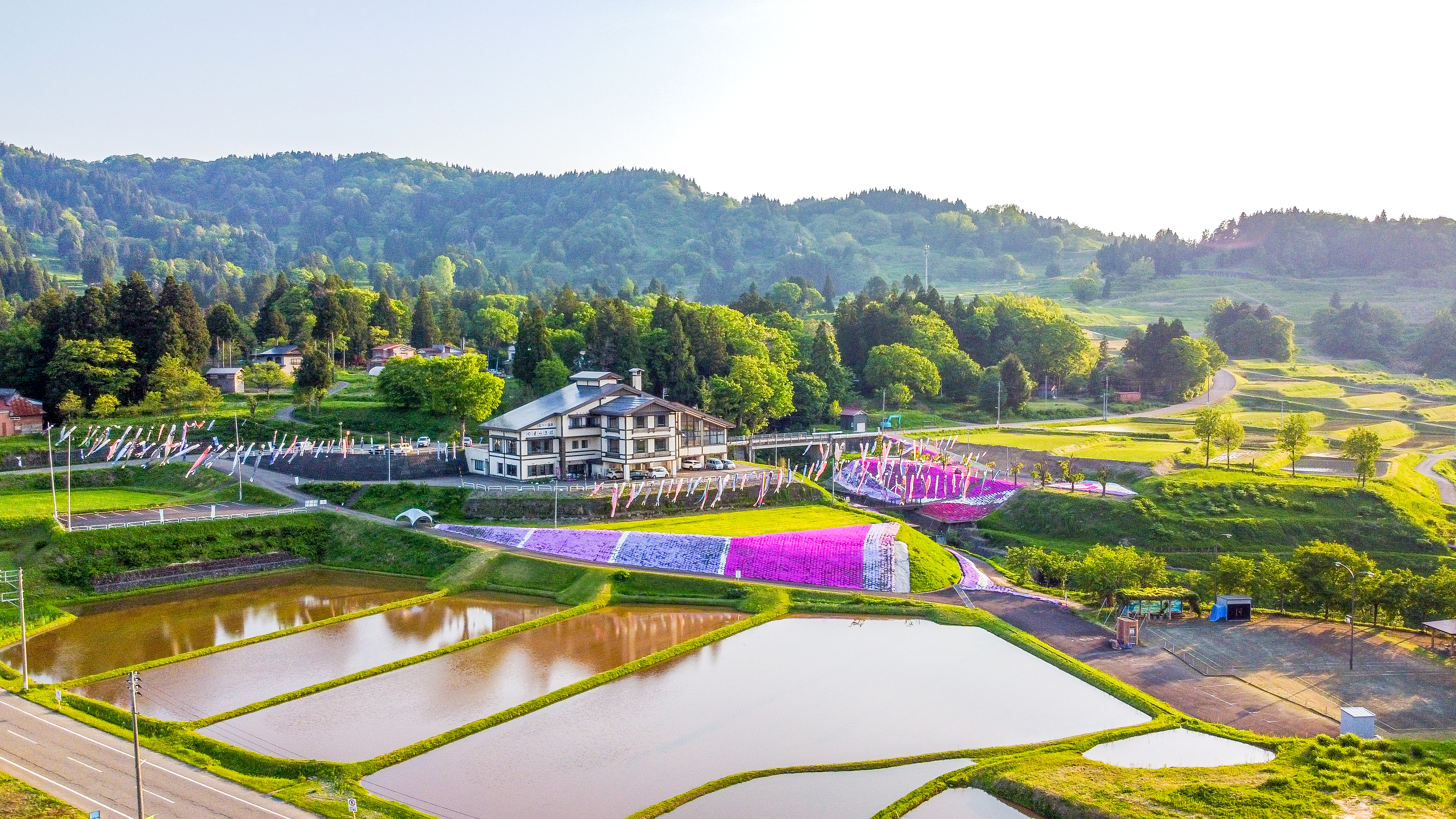 いたくら芝桜まつりinやすらぎ荘　遠景