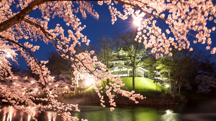 日本三大桜　高田公園　