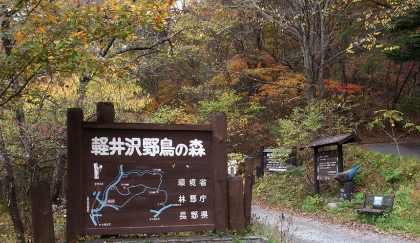 軽井沢野鳥の森　いこい山荘より徒歩約10分