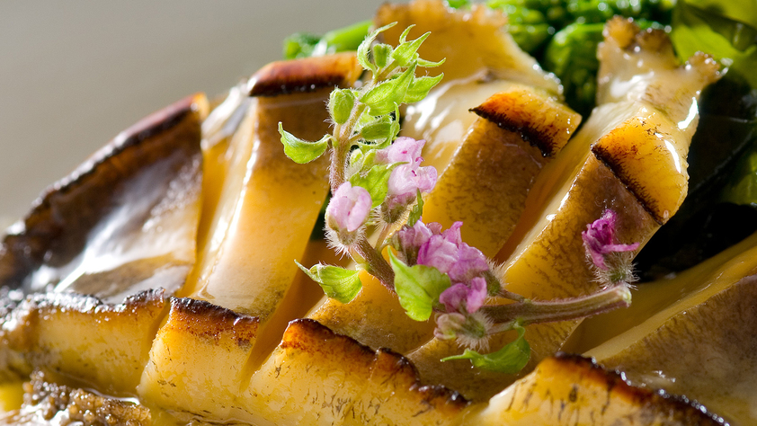 【肉じゃが×福井の海の幸】選べるメイン料理と福井三国の地魚プラン【2食付】