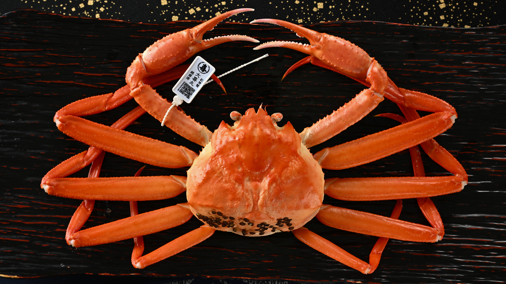 【越前紅ずわい茹でコース-1人で1杯付き】茹で（姿）