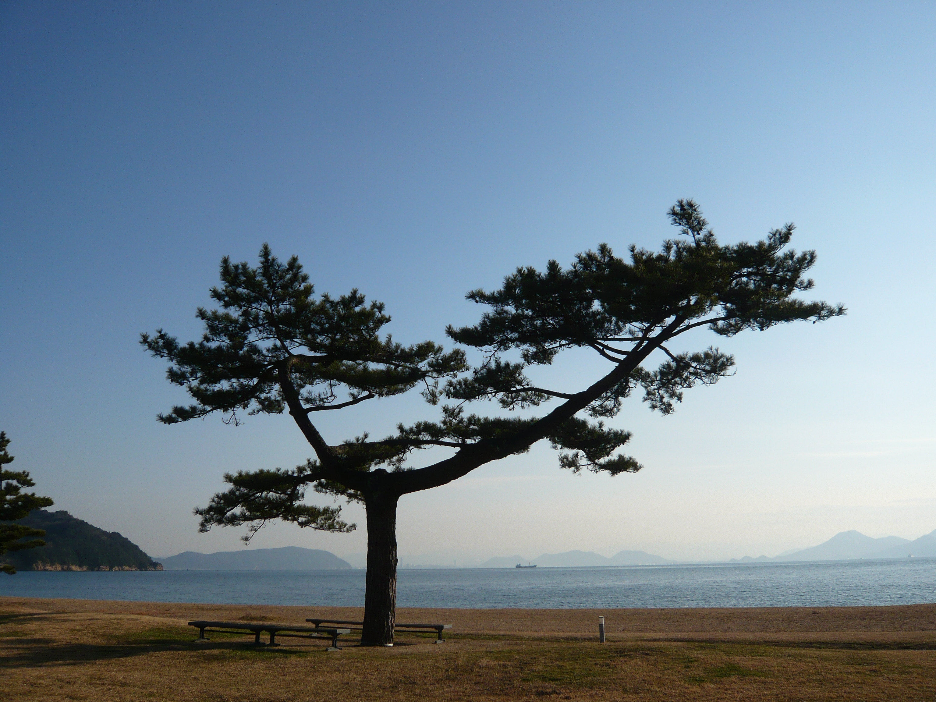 直島の風景５