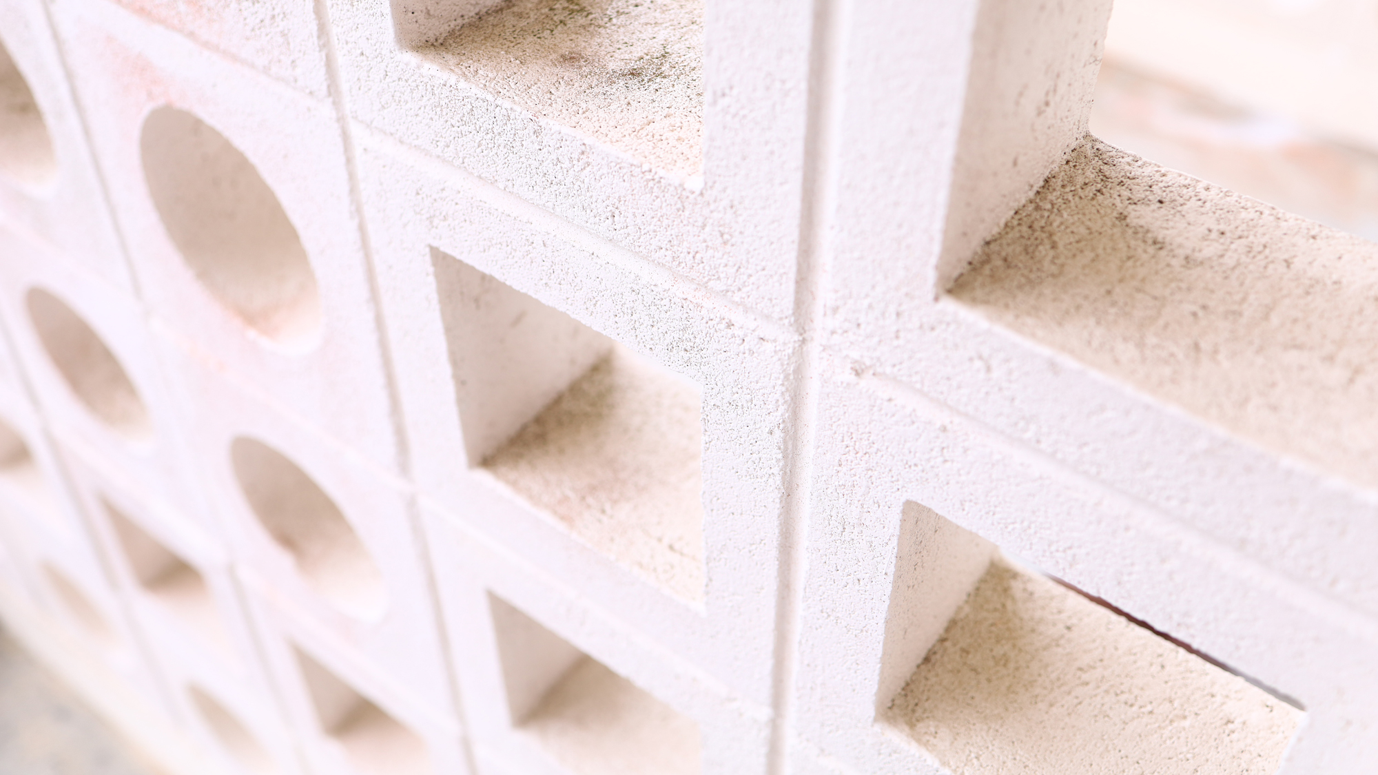 【館内イメージ】