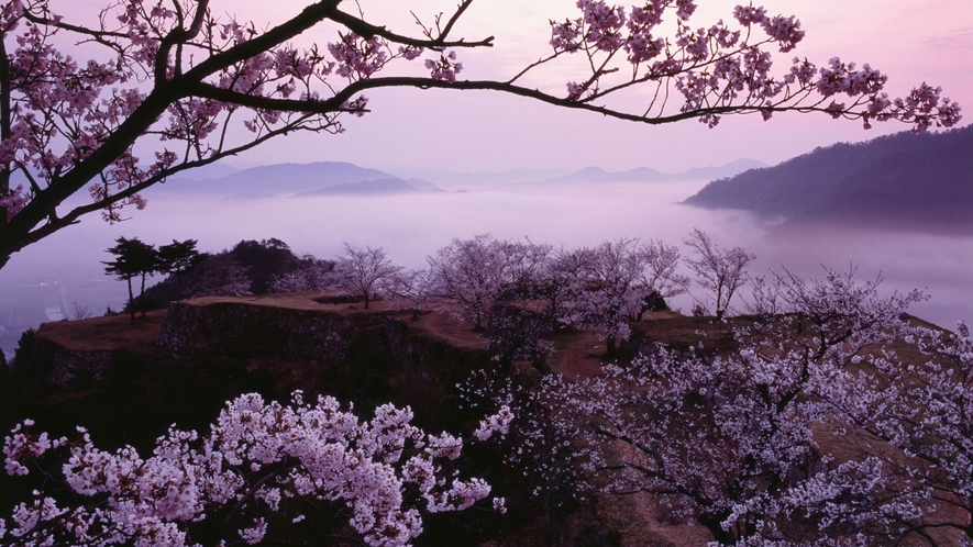 【春も立雲峡から雲海が見られます】写真提供：吉田利栄