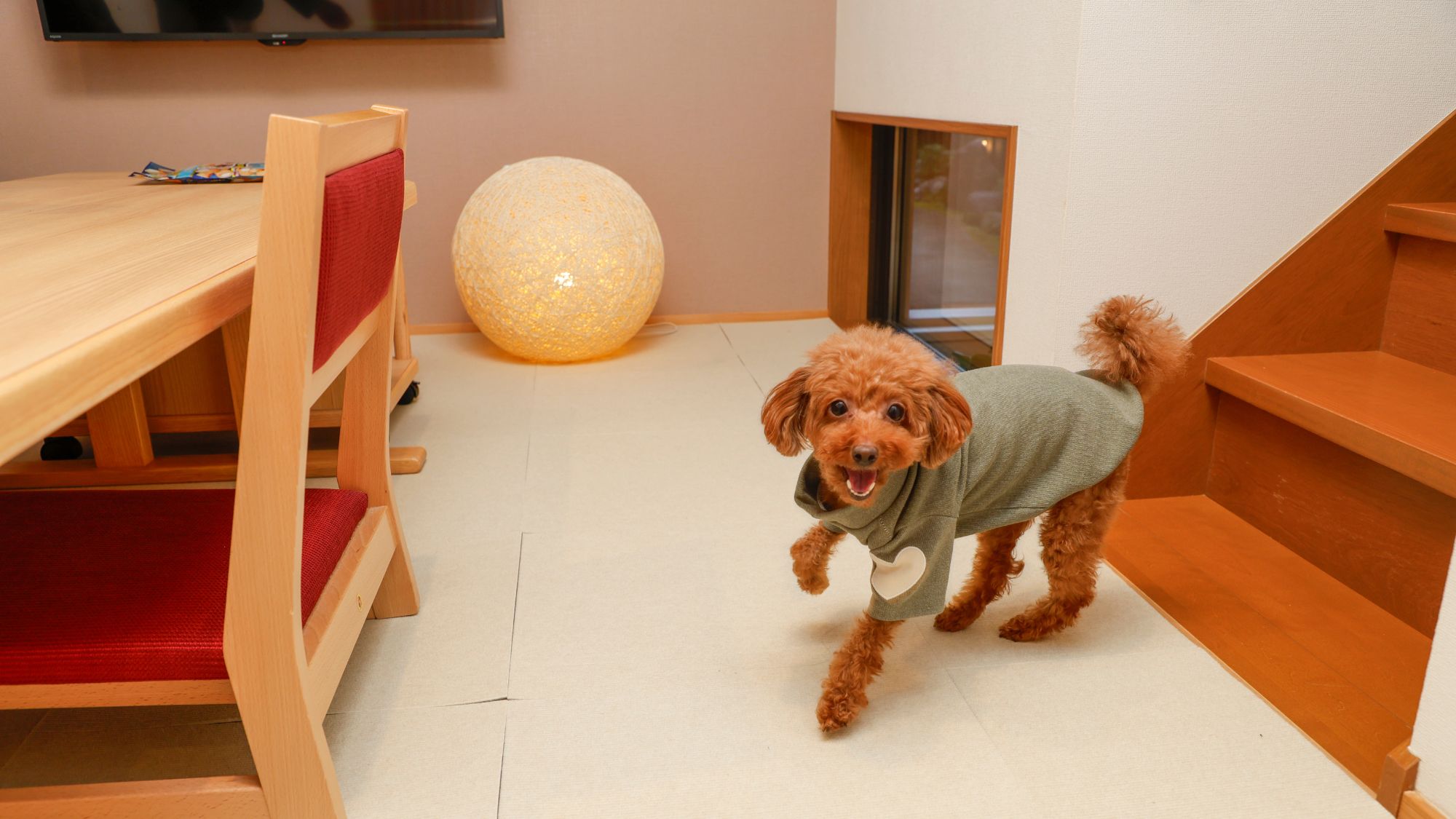 トイレが完璧でも、客室内ではマナーウエアをご持参ください