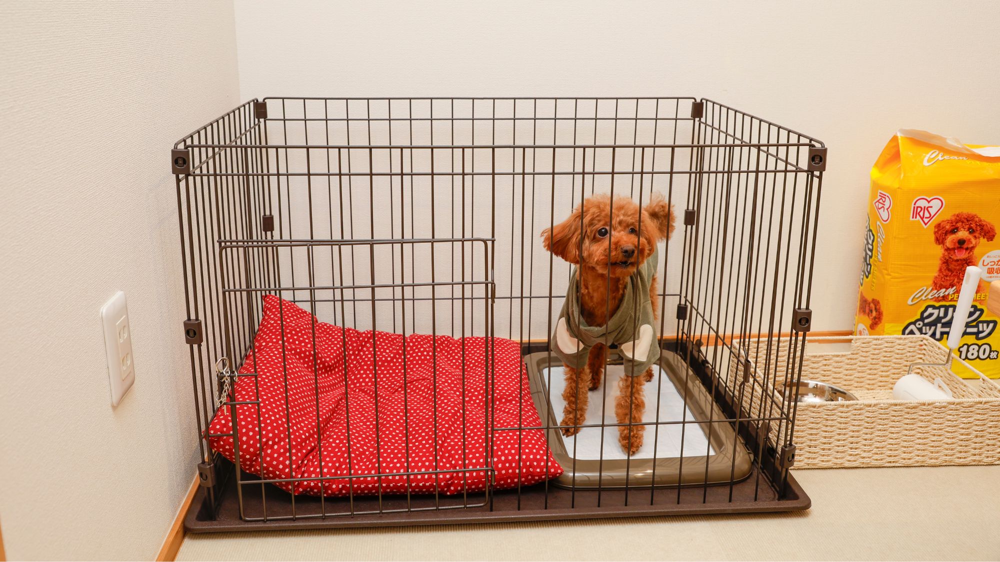 ケージサイズ(横90x60x高さ55.2cm)例：トイプードル4キロ