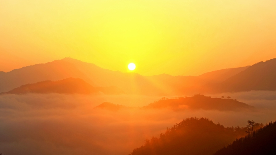 【立雲峡から望む日の出と雲海】写真提供：吉田利栄