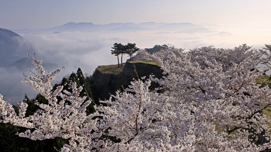 【竹田城跡と桜】