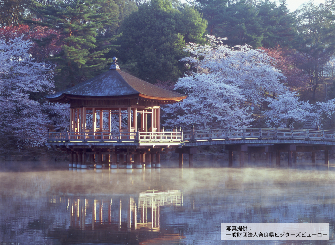 奈良公園　浮見堂