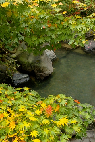 貸切露天【野湯】