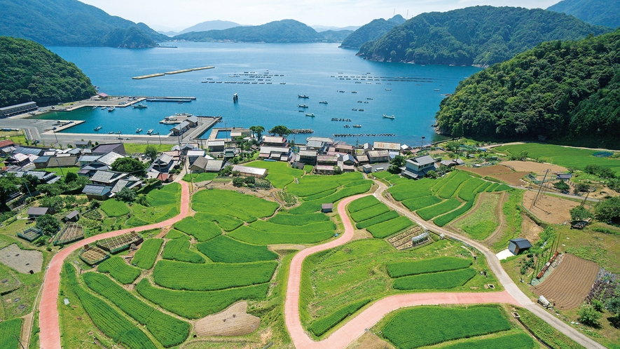 *【日引の棚田】漁村・海・棚田と風光明媚な景観