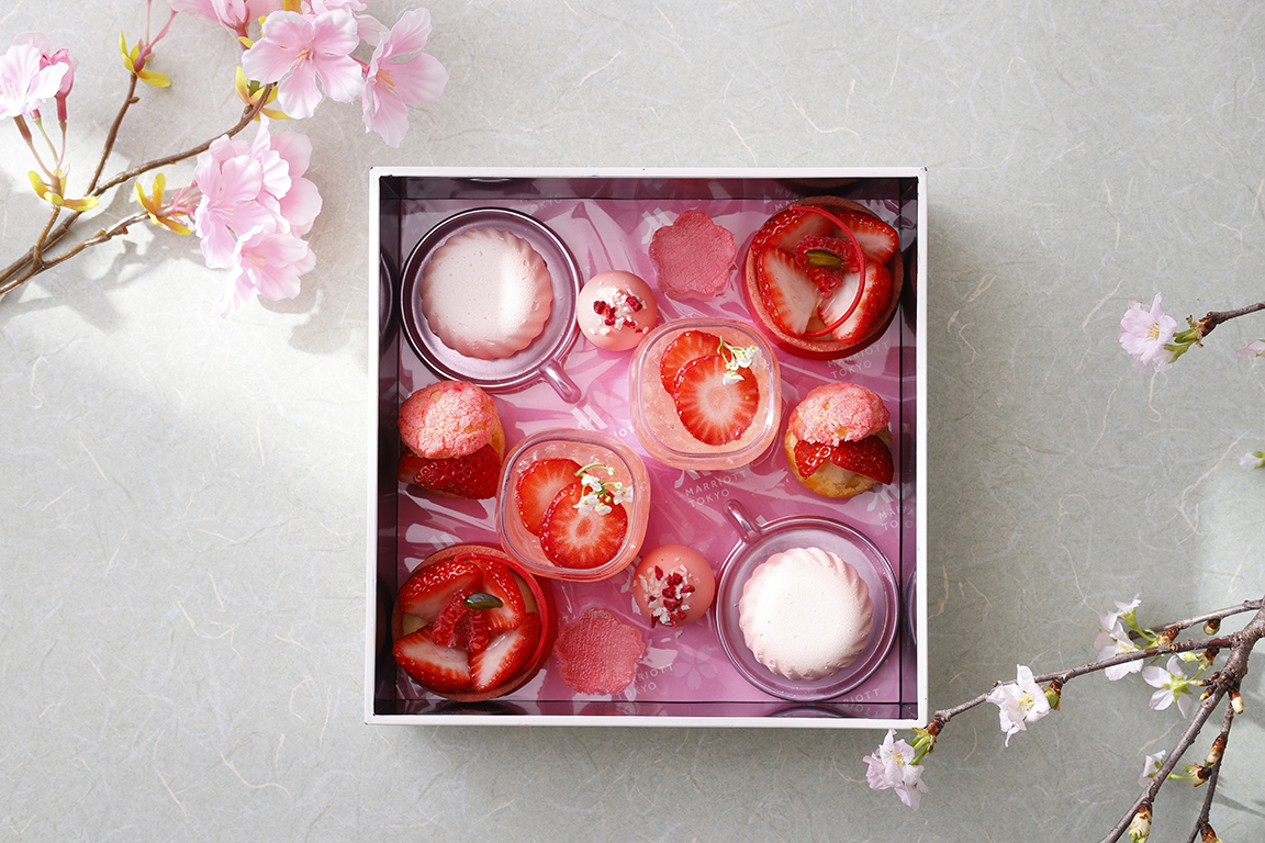 2026桜ボックス4