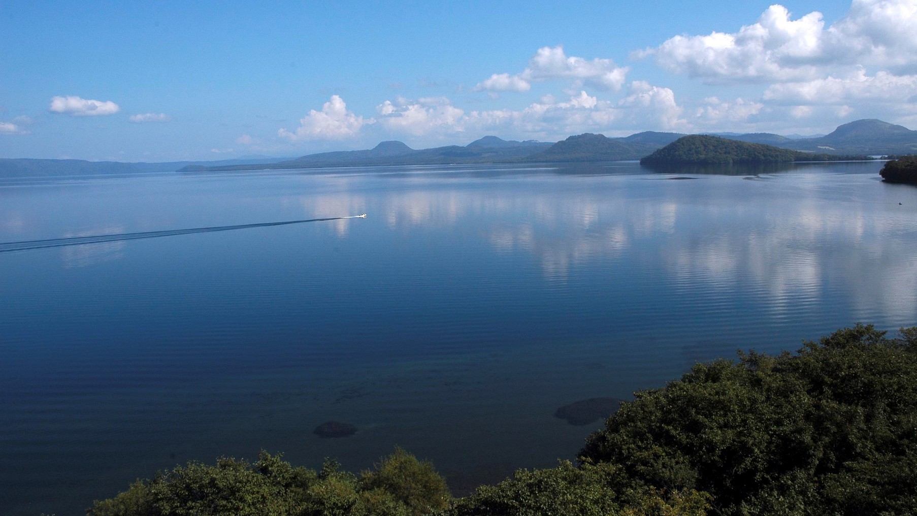 【春旅】春爛漫★ピークをずらして！ひがし北海道花めぐりの旅　朝食付き