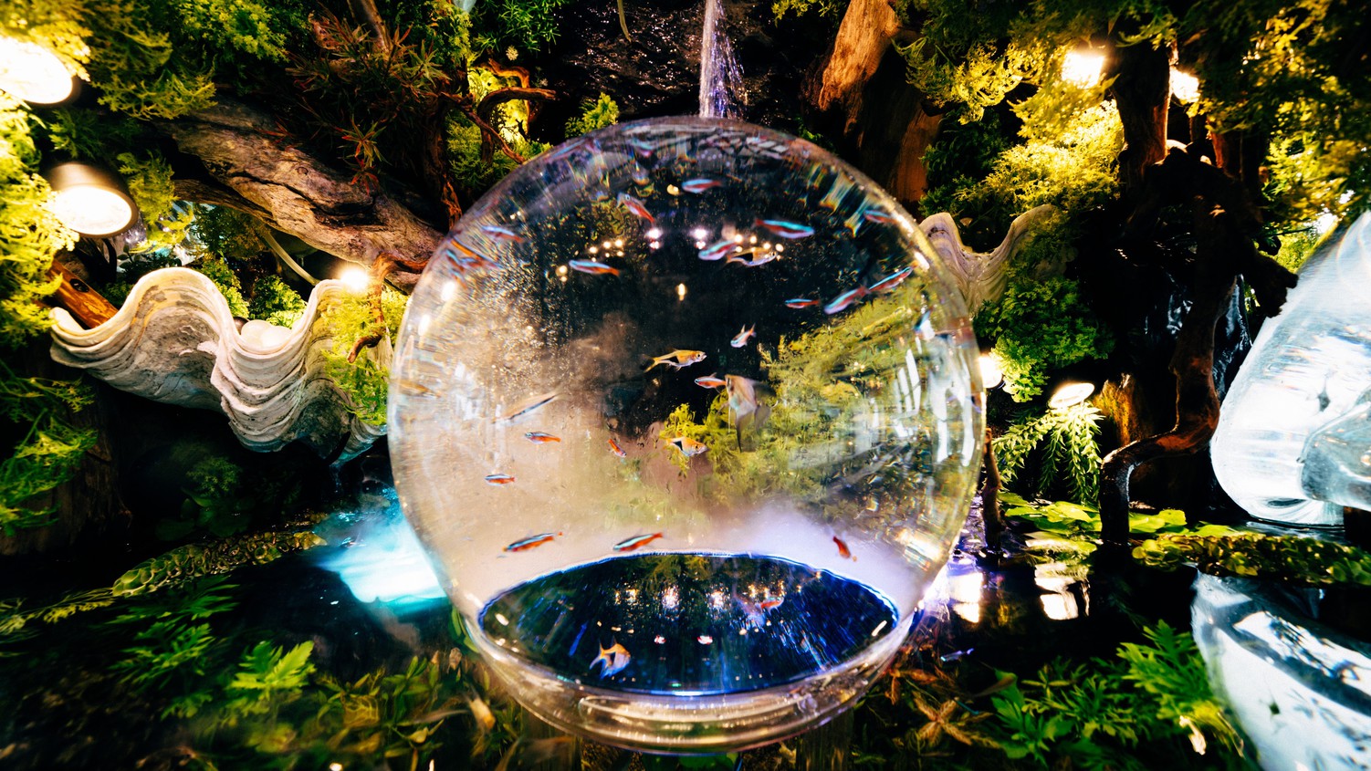 ≪1泊朝食≫NEW四国水族館＆天空の万華鏡ソラキンお出かけプラン