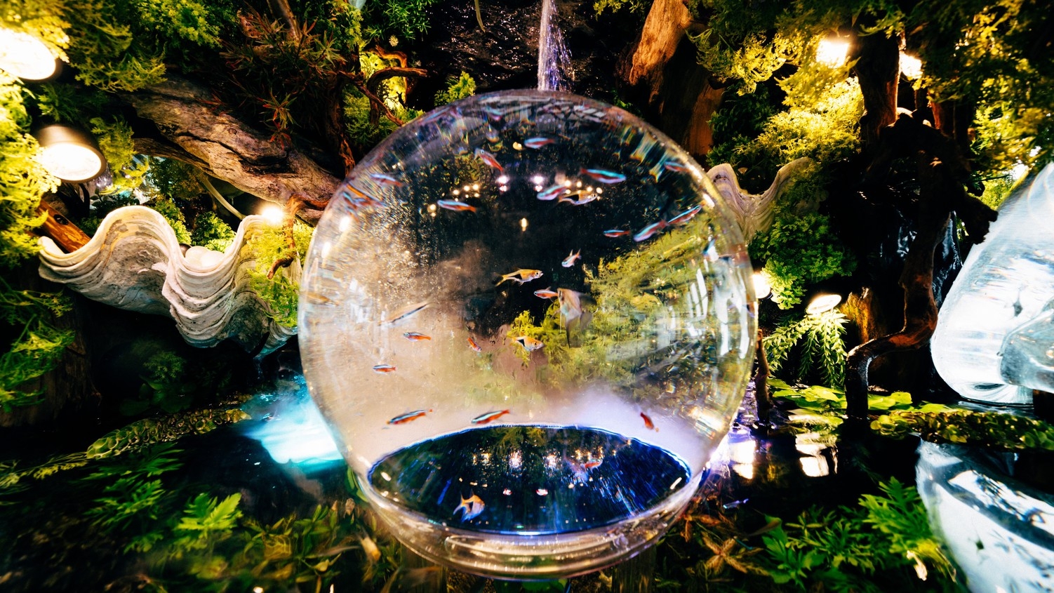 ≪1泊朝食≫NEW四国水族館＆天空の万華鏡ソラキンお出かけプラン