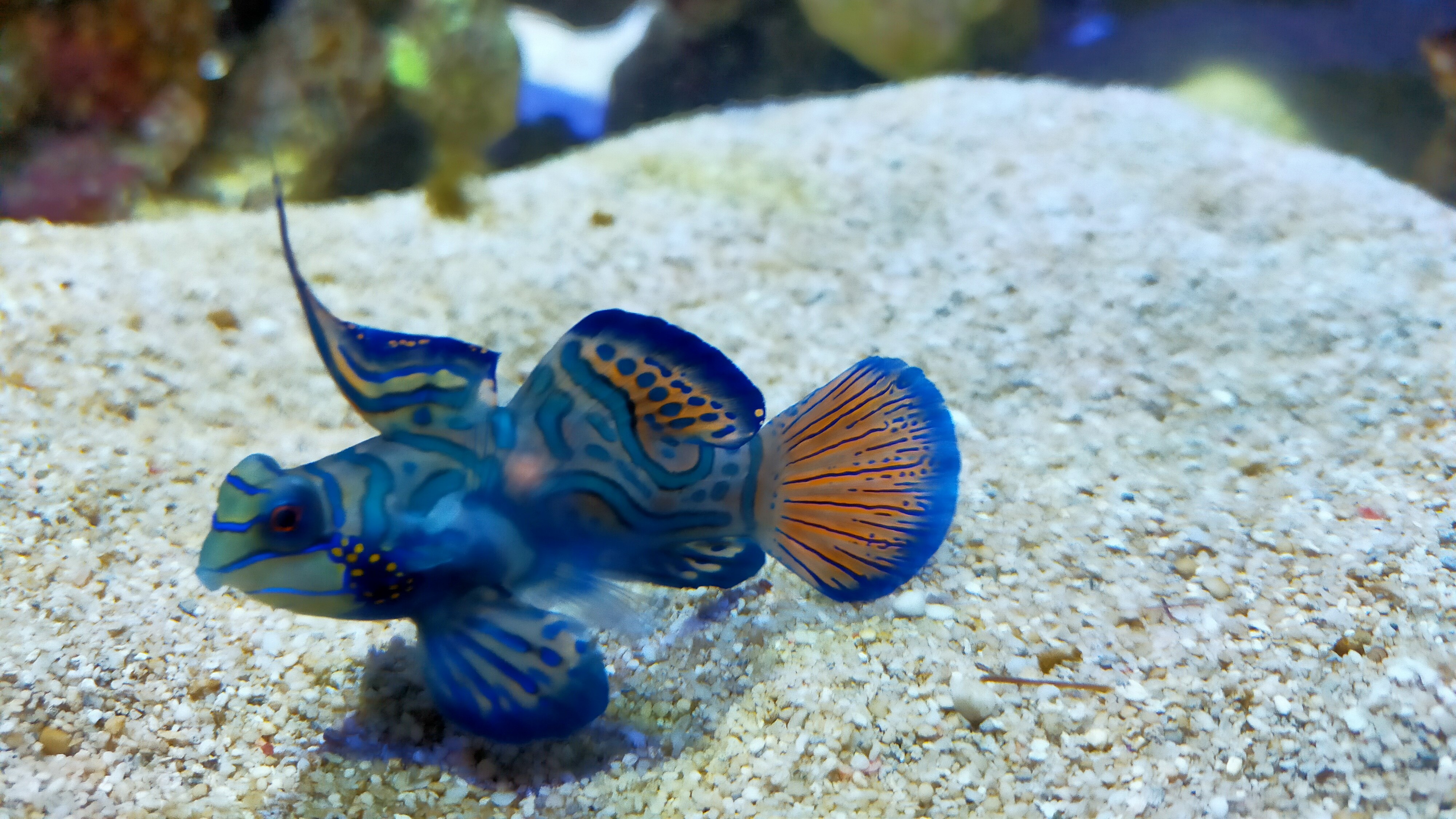 ■四国水族館■（お車で10分）