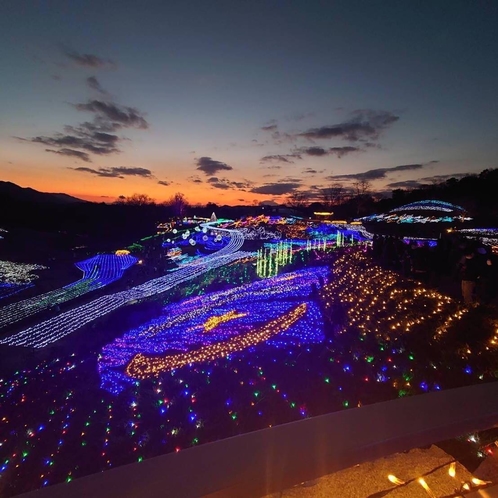 満濃公園イルミネーション