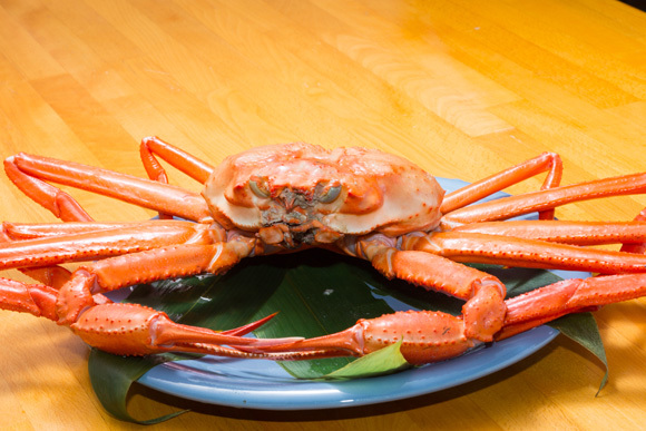 【夕食はカニづくし】旬の紅ズワイガニ堪能★焼きガニ・蟹しゃぶ・カニの天ぷらなど計10品