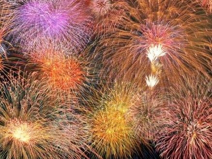 隅田川・葛飾・江戸川【花火大会プラン】11時OUT◆注意◆客室から花火は見えません