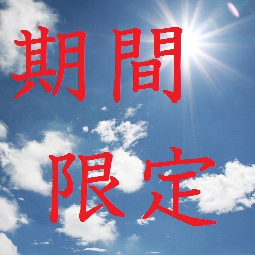 隅田川・葛飾・江戸川【花火大会プラン】11時OUT◆注意◆客室から花火は見えません