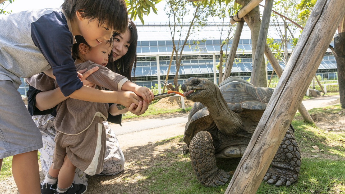 様々な動物に触れ合って、子供の笑顔が輝く！神戸どうぶつ王国入園券付きプラン(朝食付)