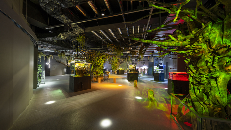 【atoa入場券付／朝食付】アクアリウムとアートが融合した新感覚の都市型水族館