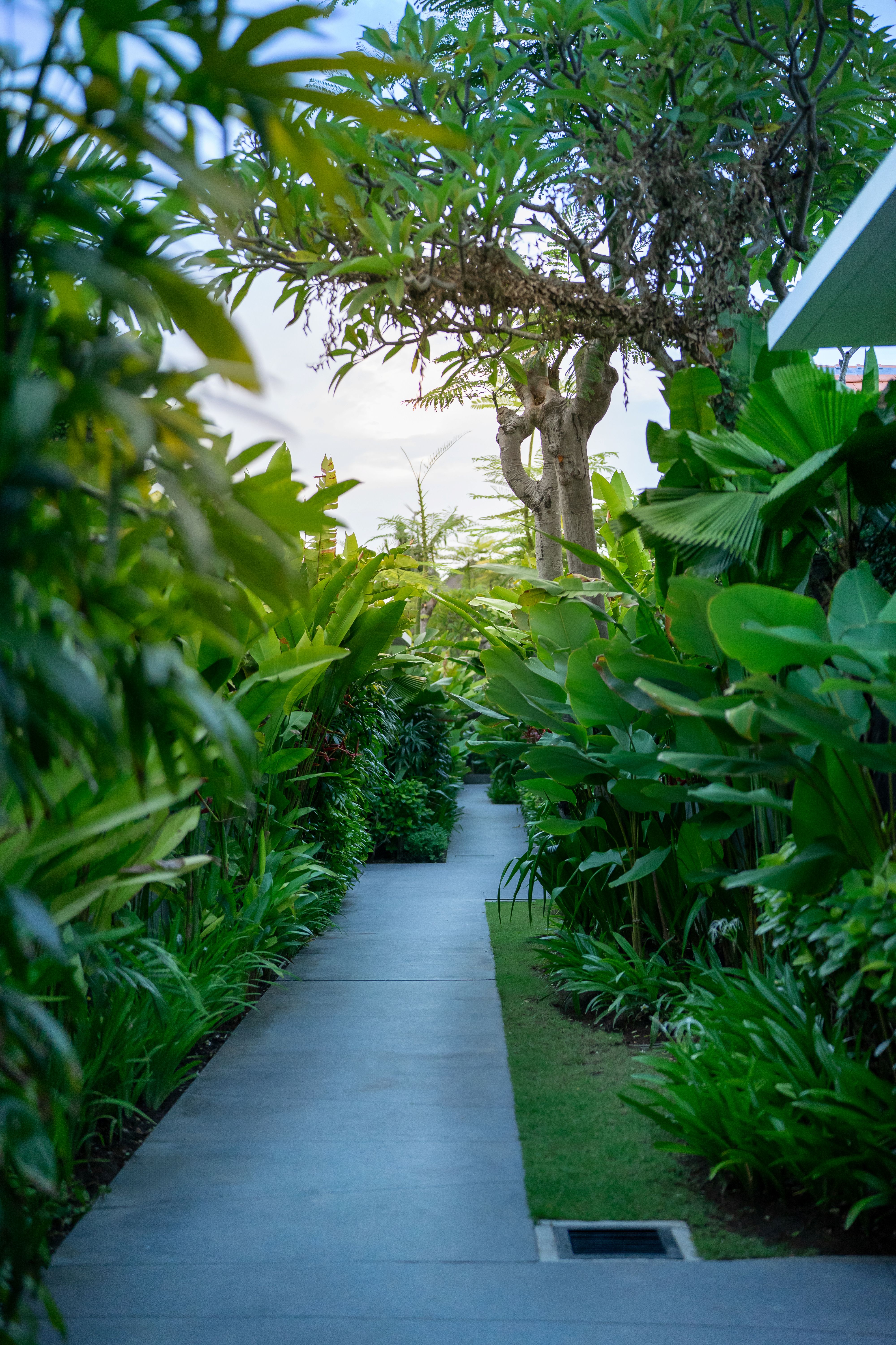 アビア　ヴィラ　レギャン