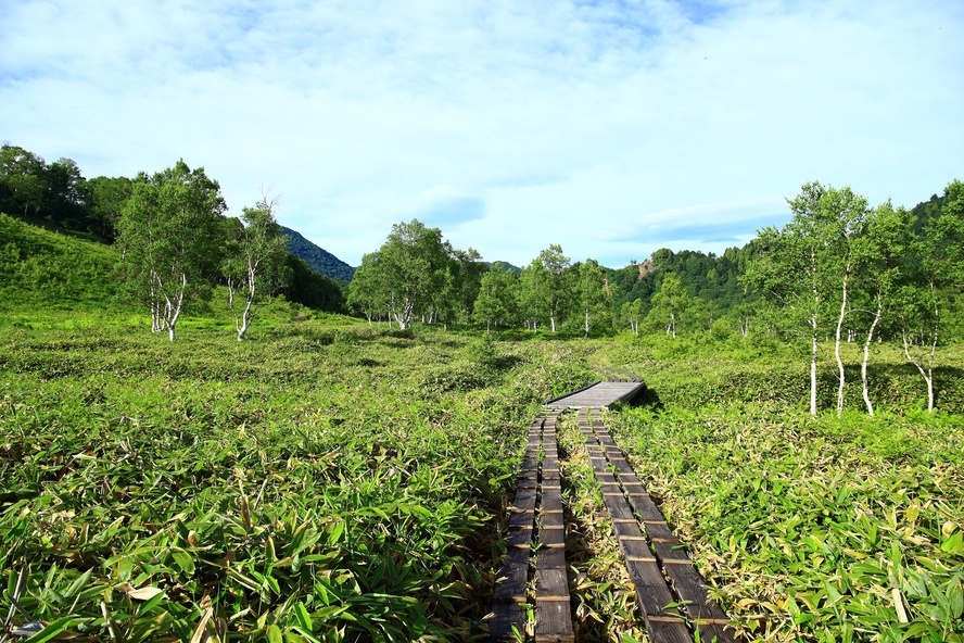 ☆素泊まり☆信州中野ICより車で3分なのでビジネス・レジャー・旅行に最適！（通年）