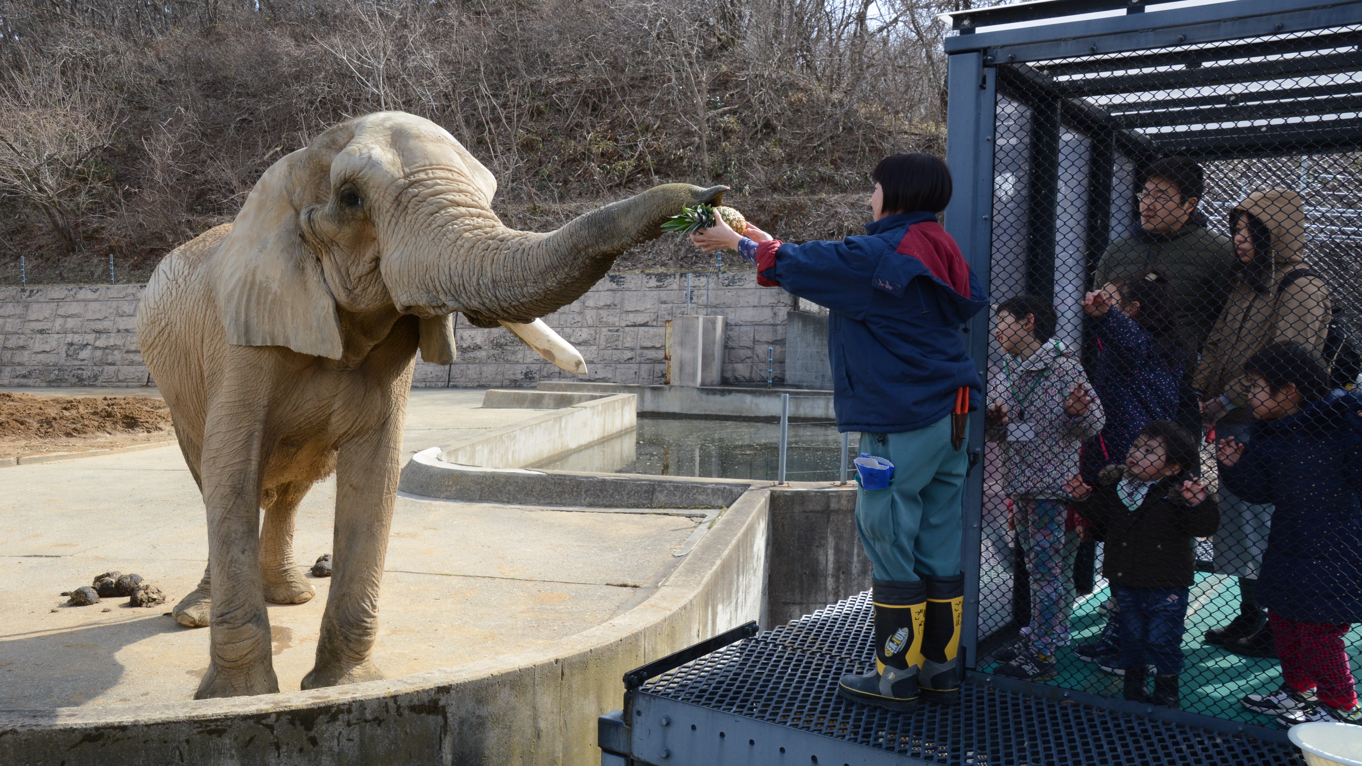 大森山動物園（秋田市）
