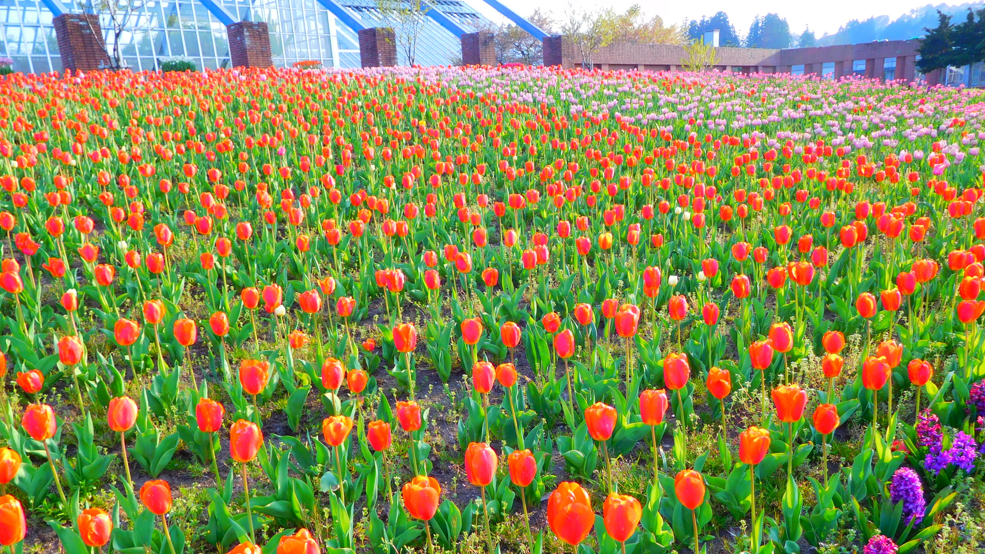 ブルーメッセあきた