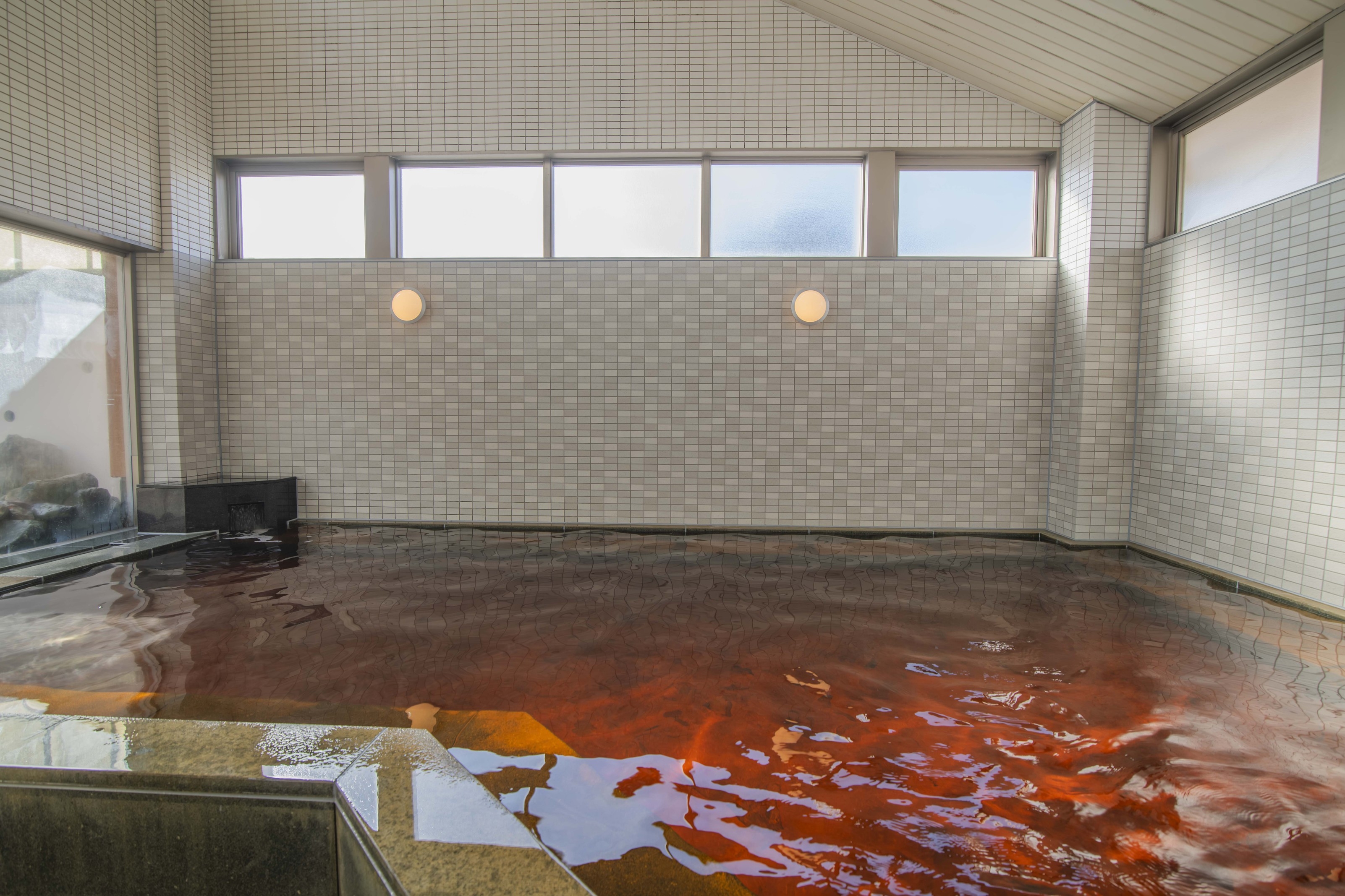 【温泉入浴券／素泊まり】併設の天然温泉入浴券付き！東京駅から高速バスで約90分！