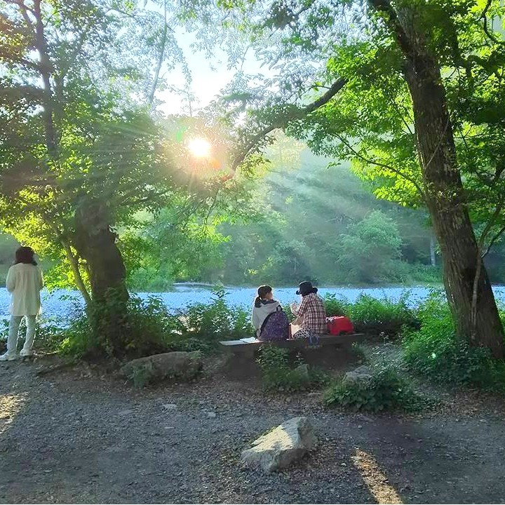 白樺荘前　朝の陽ざし