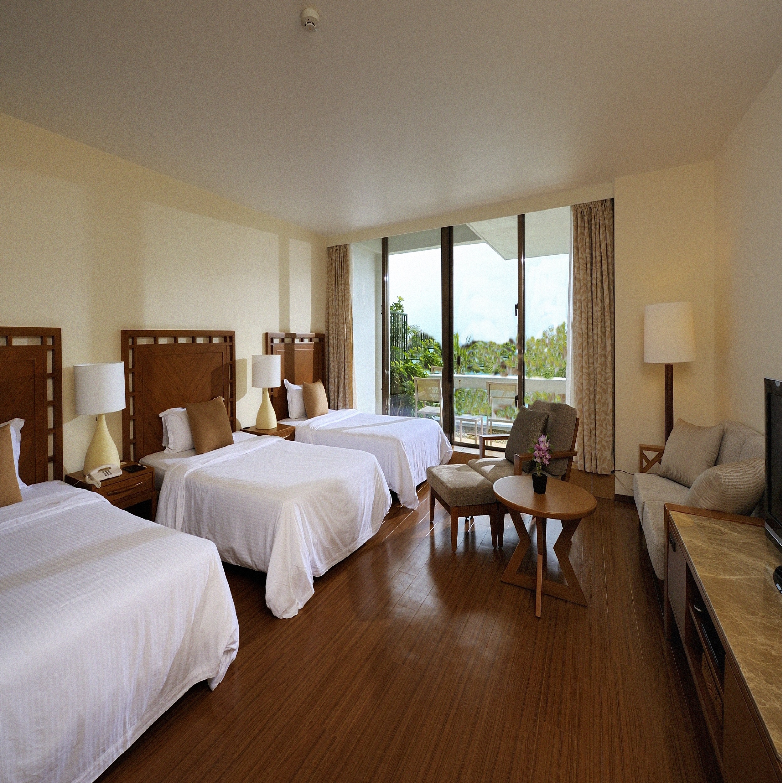 ホテル ムーンビーチ 写真 動画 楽天トラベル