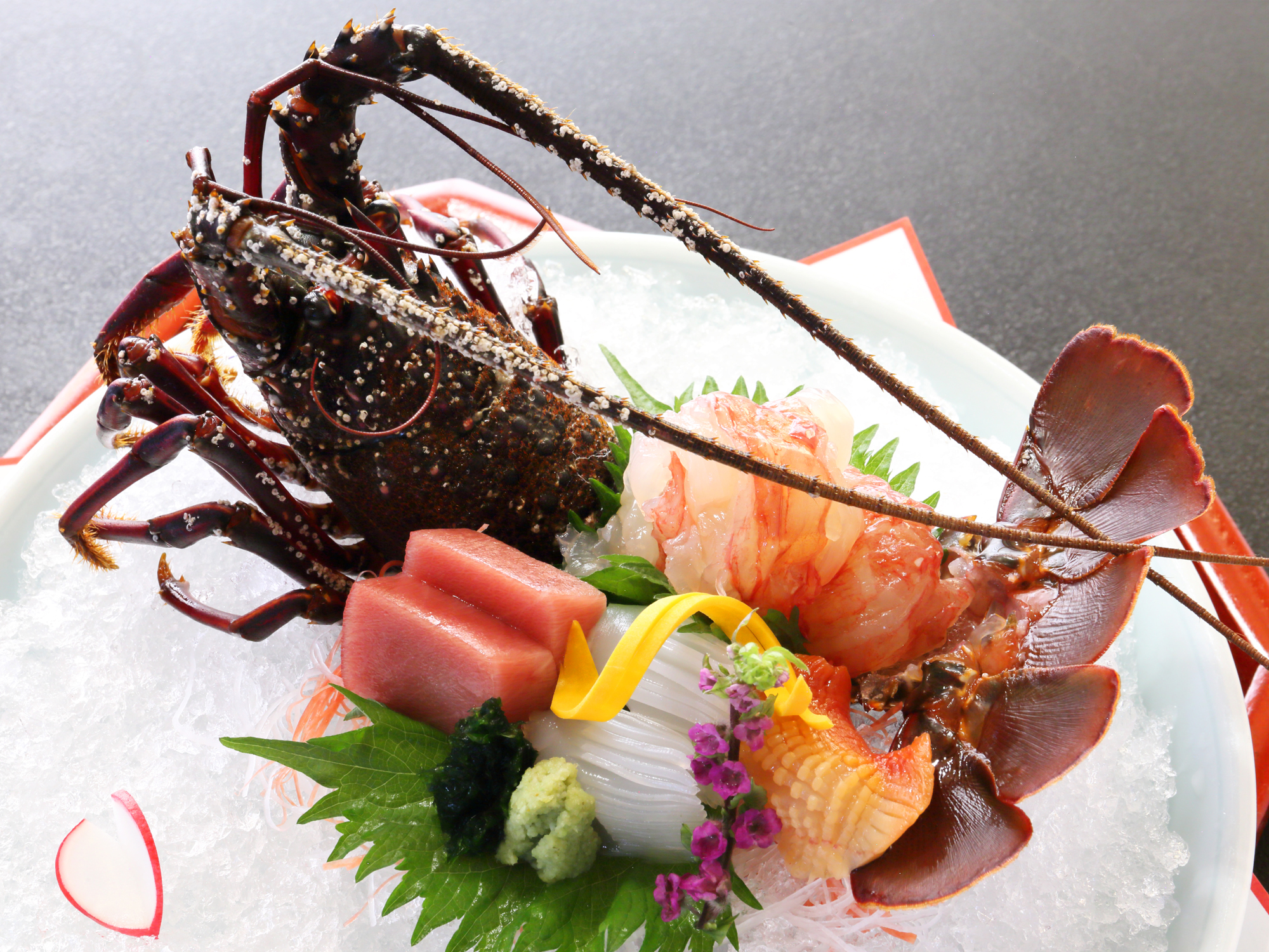 料理　お造り　／　伊勢海老姿造り
