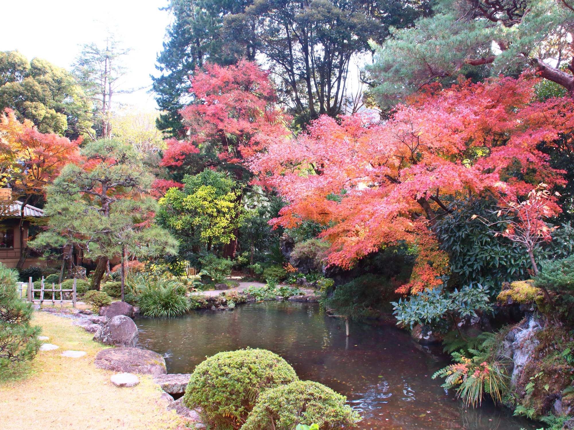 日本庭園　紅葉（12月）
