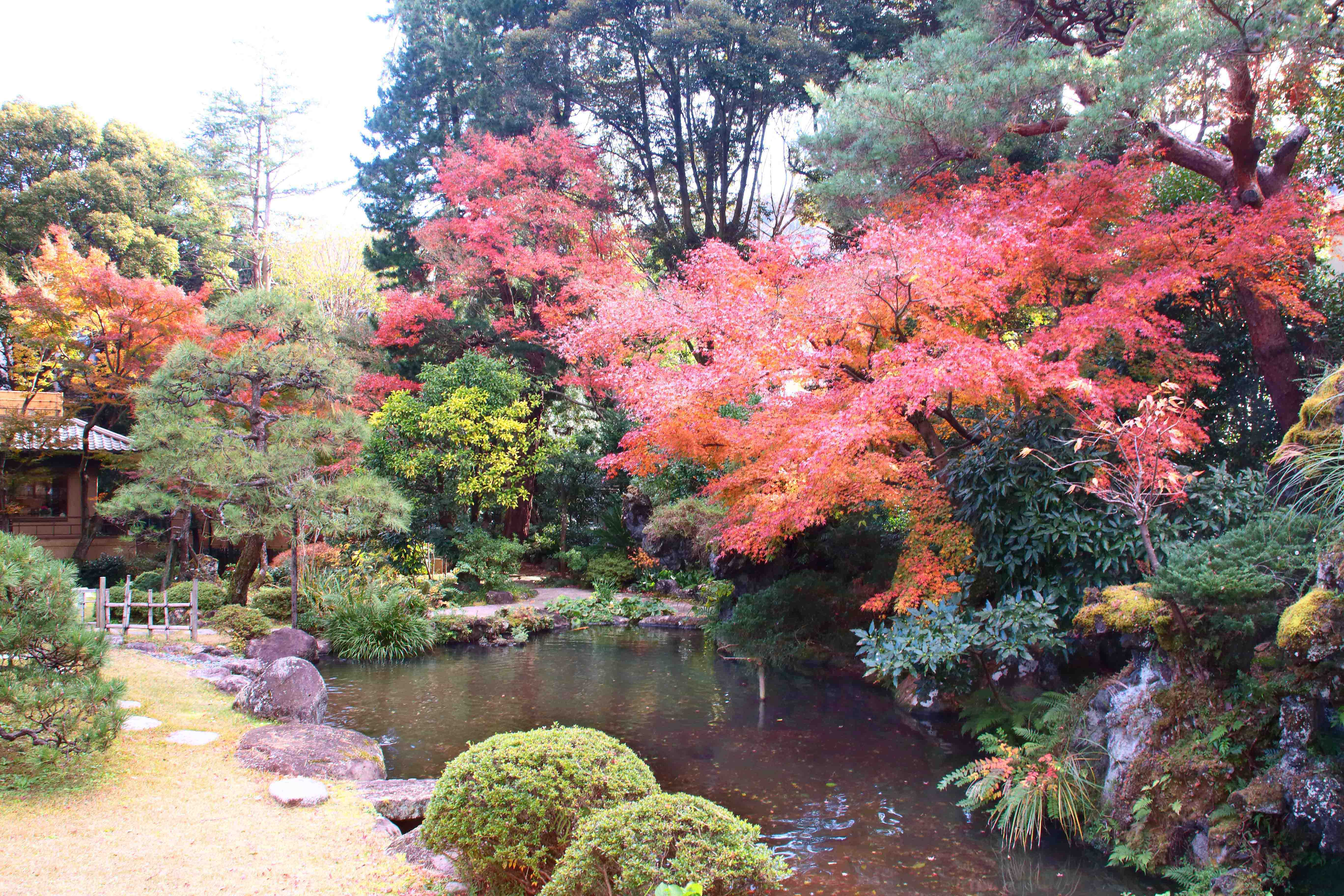 日本庭園　紅葉と水景